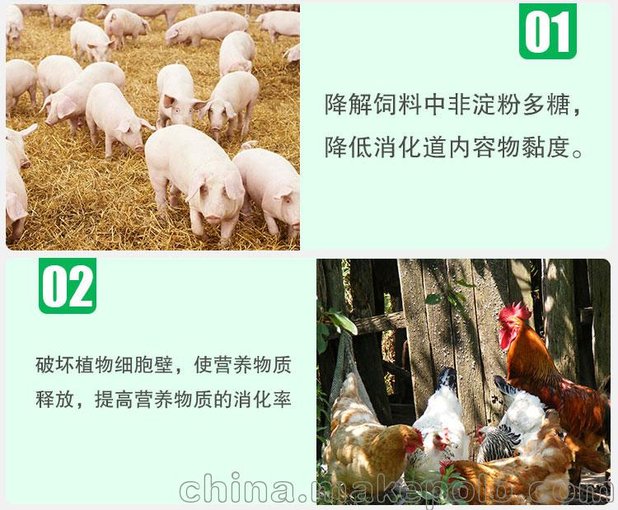 銷(xiāo)售夏盛牌飼用木聚糖酶9萬(wàn)活力圖片