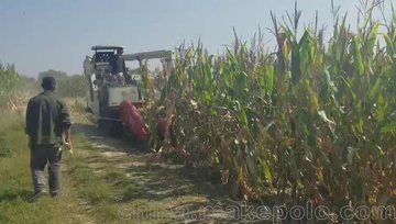 小麦收割机改装玉米收割机生产厂家