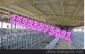 河北直销优质养猪设备自动喂料设备
