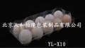 供应10枚代扣塑料透明PVC柴鸡蛋盒