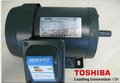 Toshiba东芝电机TD-80M-0.75-4K 750WToshiba电机