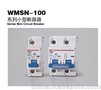 WMSN-100系列小型断路器