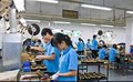 厂家直销 220V三相全自动交流稳压器 380V三相稳压器