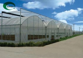山东青州圣亚  生产连栋薄膜温室  温室骨架材料  拱形温室建设