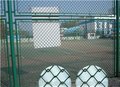 足球场围栏网订购、中泽丝网(查看)