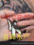 供应清远用于养殖的优质草鱼苗批发