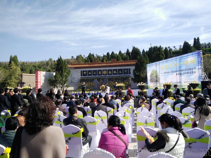 洛陽平面模特禮儀慶典策劃圖片