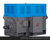 東莞電機(jī)廠生產(chǎn)，Y 系列 6kV 中型高壓節(jié)能三相異步電動(dòng)機(jī)圖片