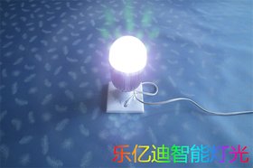 LYD-BSS12LEDݟS
