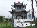 亿盛石雕质量稳定(在线咨询)_贵州石雕工艺品