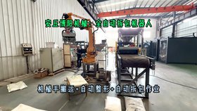 氫氧化鈉全自動拆包機器人 50kg片堿全自動拆包機械手應用