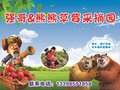 精品草莓（巧克力味，奶油味）可送货上门13398501858
