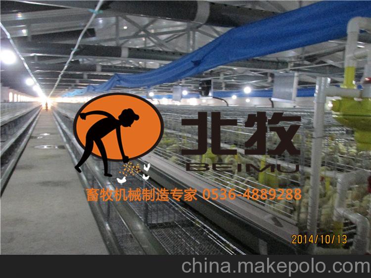肉雞舍籠養立體雞籠 托糞盤清糞方式 北牧廠家直銷