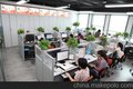 布吉龙珠花园货代公司DHL代理布吉货代UPS代理上门取件