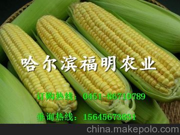 (yu)|(zh)كŴ