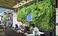 广州真花实草植物墙工程安装公司