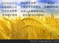 提供生物有机肥料手续贴牌生产授权