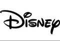 迪士尼认证迪士尼验厂迪斯尼认证Disney认证100%通过 修改