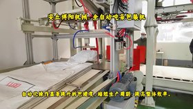 氧化鋅智能噸袋包裝系統(tǒng)應(yīng)用、全自動噸袋包裝機廠家