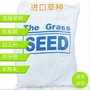 草坪种子 护坡混播草籽 高羊茅 狗牙根 马蹄金 四季青早熟禾 种子