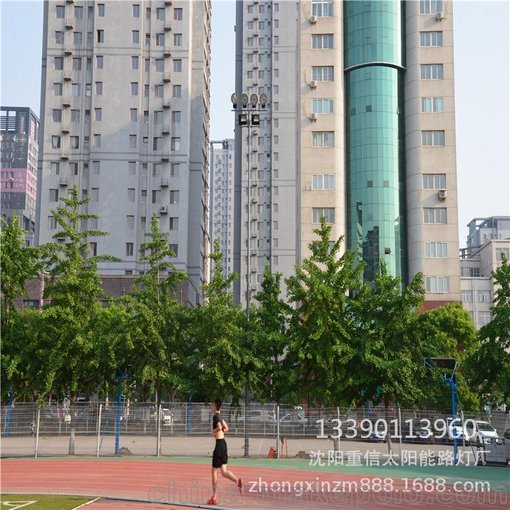 供應(yīng)籃球場400w升降式高桿庭院燈定制 廠家生產(chǎn)足球場高桿燈圖片