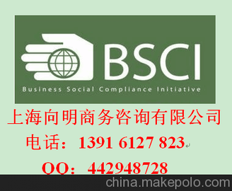 װ鳧GSV鳧SQPѯBSCI֤
