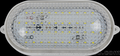 供应源头厂家3.5-5m10W小型冷库LED照明灯小椭圆