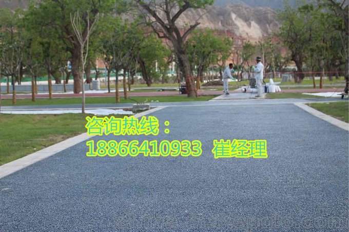 海綿城市，透水混凝土種類眾多，能滿足多風(fēng)格裝飾進(jìn)行鋪設(shè)施工圖片