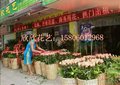 福州大学城花店电话15806012968 福州闽侯鲜花店