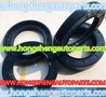 TC OIL SEAL