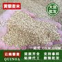 厂家批发 云南藜麦米 黄藜麦米 龙芽米 高端食材 五谷杂粮