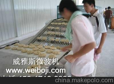 供應(yīng)微波包裝榨菜絲殺菌設(shè)備圖片