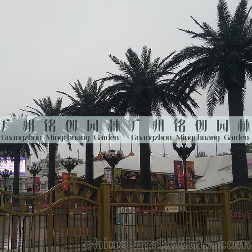 大型仿真樹廠家 仿真海棗樹 仿真棕櫚樹 人造椰子樹造景圖片