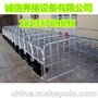 常年销售各类型母猪定位栏 生产母猪限位栏猪场设备