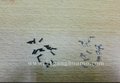 供应iphone6s底部螺丝，苹果6手机螺丝批发
