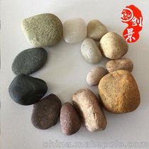 江门鹅卵石批发产地 鹅卵石厂家报价 建筑鹅卵石规格