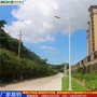 右江7米照明灯杆 小区镀锌管灯杆厂家批发 道路灯杆灯柱