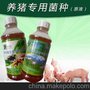 益生菌发酵床养猪养鸡养蛇养兔子微生物em菌原液