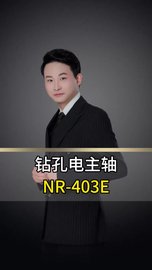 NSK中西钻孔主轴NR-403E