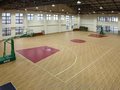 威亚体育设施(在线咨询)、运动地板