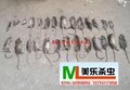 深圳南山专业灭鼠南山家庭灭鼠公司