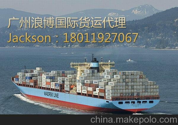 廣州浪博國(guó)際貨運(yùn)代理 代收外匯  安全 迅速圖片