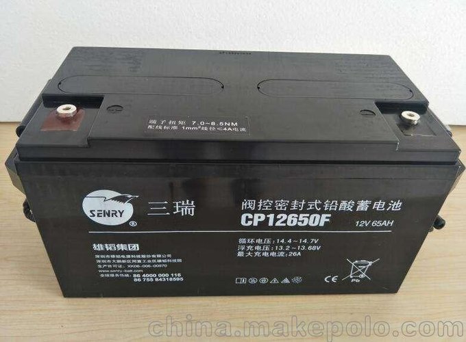 三瑞蓄電池12V65AH房車(chē) 機房 系統UPS直流屏機柜電源圖片
