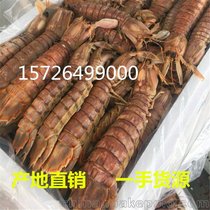 皮皮虾 虾爬子 虾姑 熟冻皮皮虾