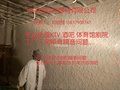 长乐无机纤维隔音喷涂价格优惠