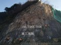 A主动防护网现货厂家