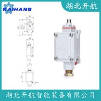 LXP1-100/1NAгλ_(ki)P(gun) _(ki)