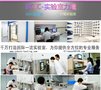 深圳UN38.3测试机构MSDS测试报告新版本