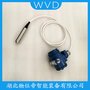 NPUTY-50X-9000投入式液位計(jì) WVD