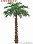 玻璃钢杆棕榈树叶_植物棕榈树果
